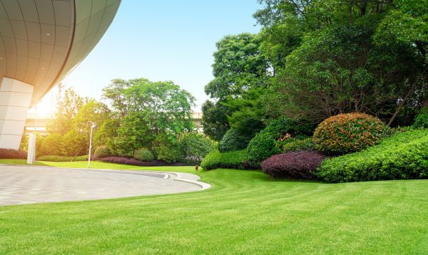 Commercial Lawn Care in Rockledge