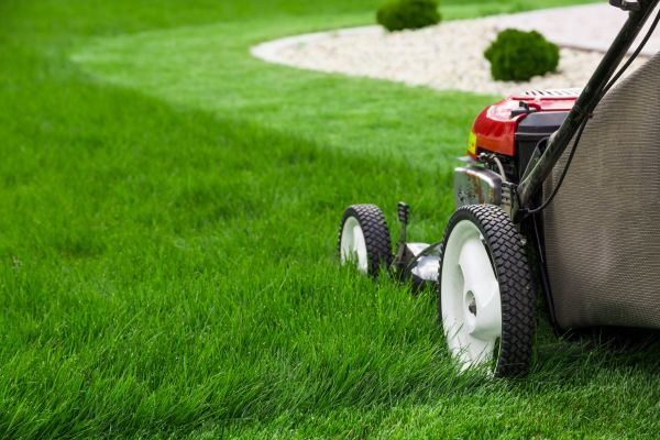 Lawn Cutting Service in Rockledge