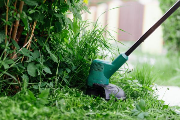 Weed Whacking in Rockledge