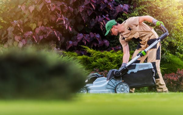 Yard Care Service in Rockledge