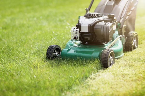 Yard Cutting in Rockledge