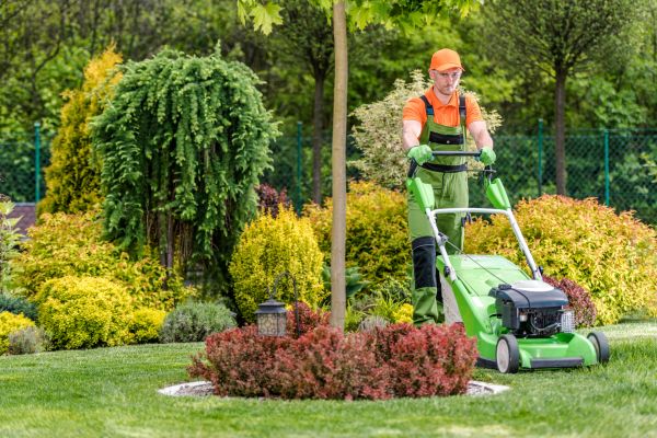 Yard Service in Rockledge