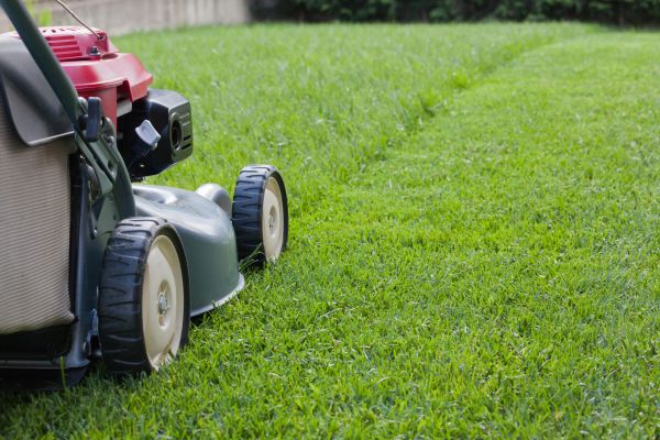Residential Lawn Care in Rockledge