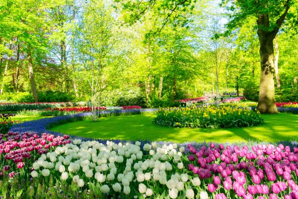 Spring Lawn Care in Rockledge