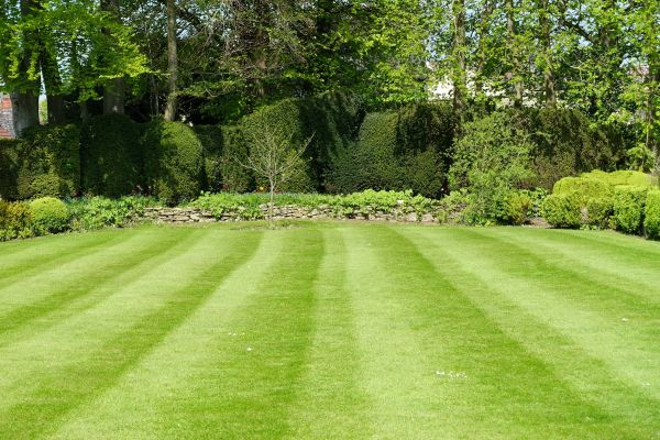 Grass Care Service in Rockledge