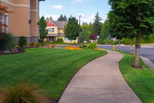Home Lawn Maintenance in Rockledge