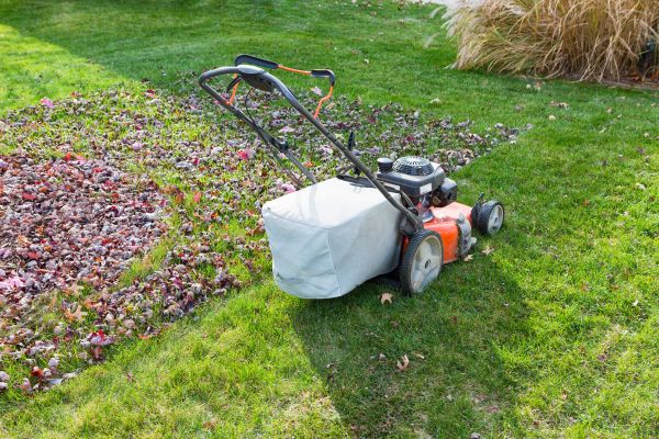 Seasonal Lawn Care in Rockledge