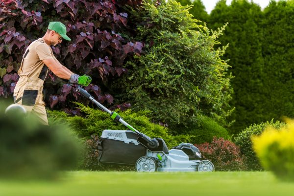 Lawn Management in Rockledge