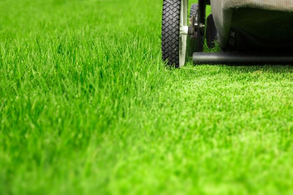 Weekly Lawn Care in Rockledge