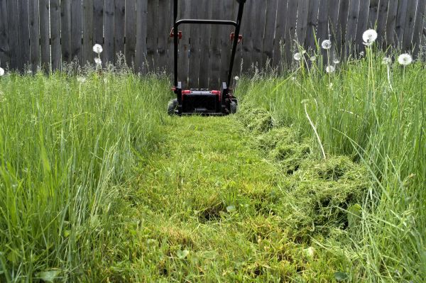 High Grass Mowing in Rockledge