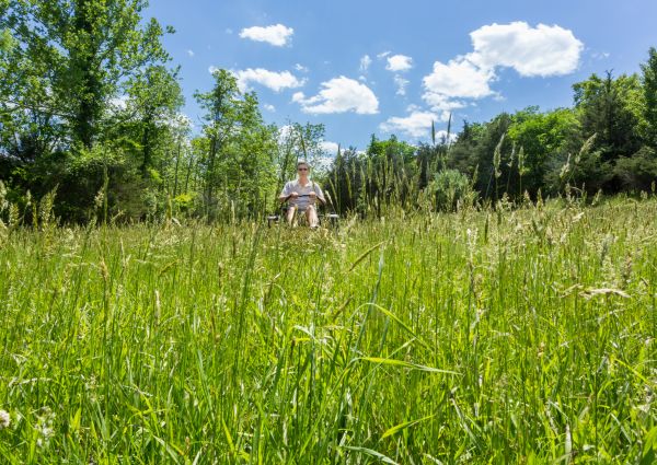 Long Grass Mowing in Rockledge