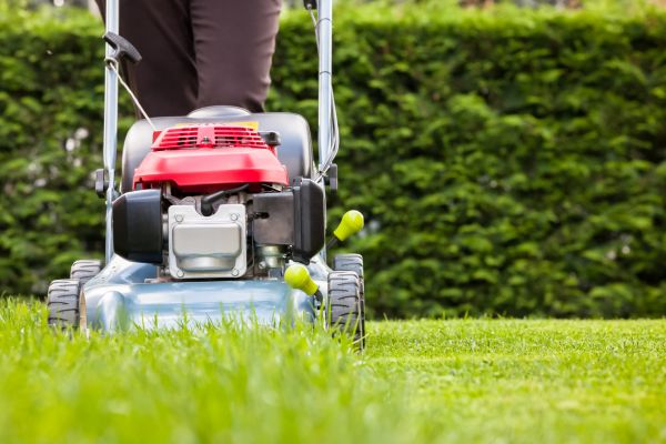 Grass Trimming Service in Rockledge
