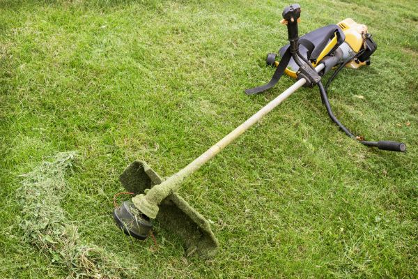 Cost of Hillside Weed Whacking in Rockledge