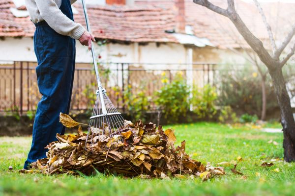 Cost of Routine Lawn Maintenance in Rockledge