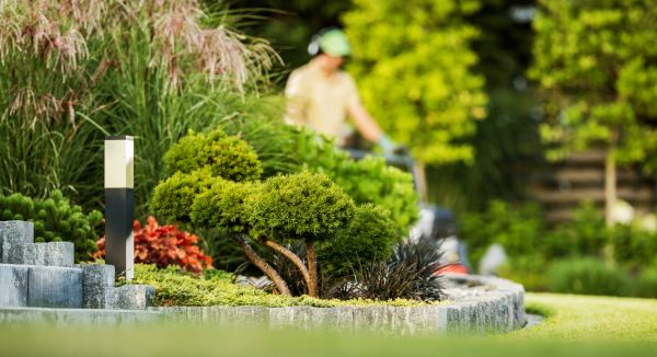 Residential Yard Maintenance in Rockledge