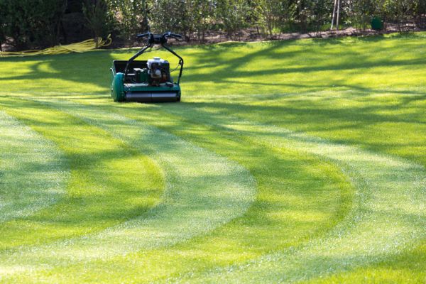 Business Lawn Mowing in Rockledge