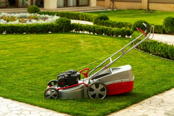 Business Grass Cutting in Rockledge