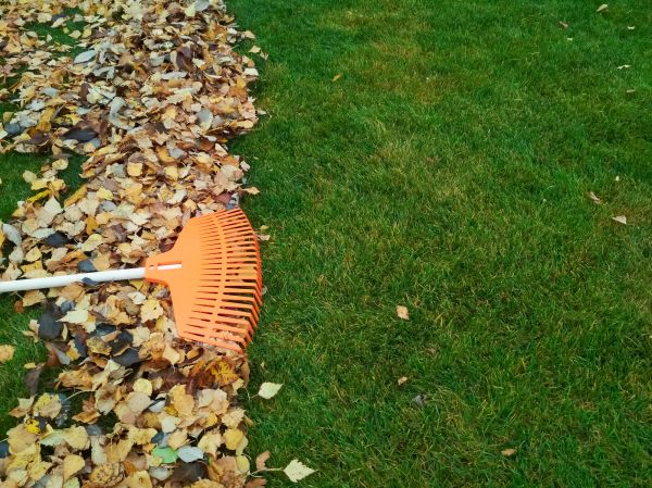 Fall Lawn Care in Rockledge