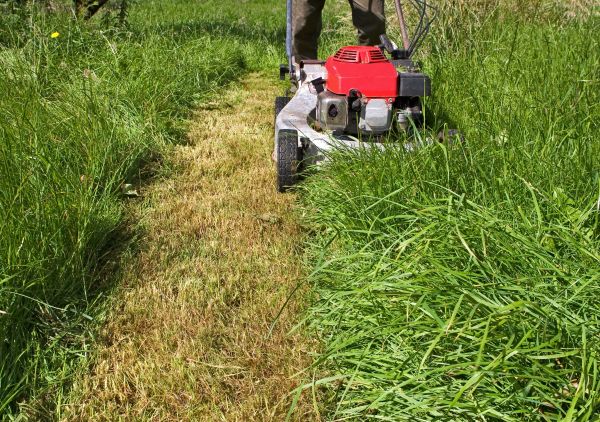 Leaf Mowing in Rockledge