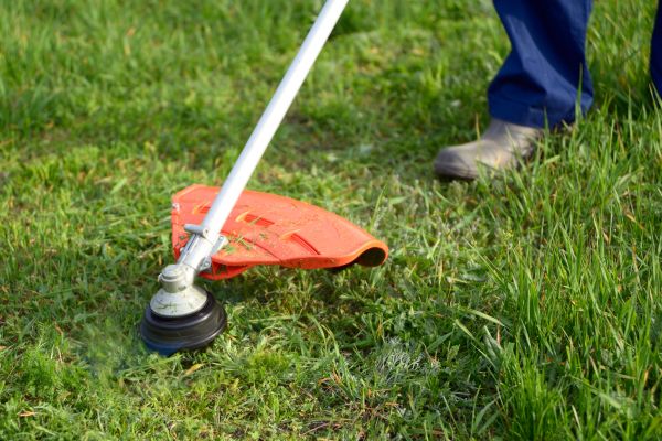 Cost of Lawn Weed Whacking in Rockledge