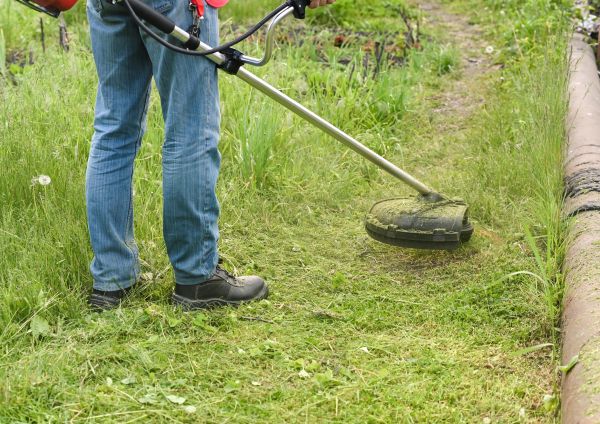 Tall Grass Trimming in Rockledge