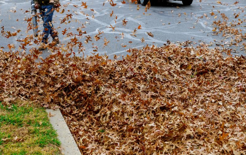 Leaf Removal Service Benefits