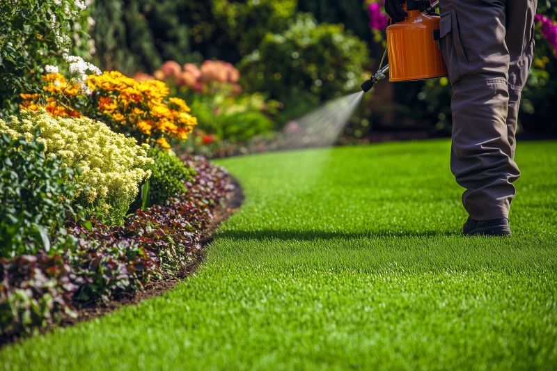 Home Lawn Maintenance