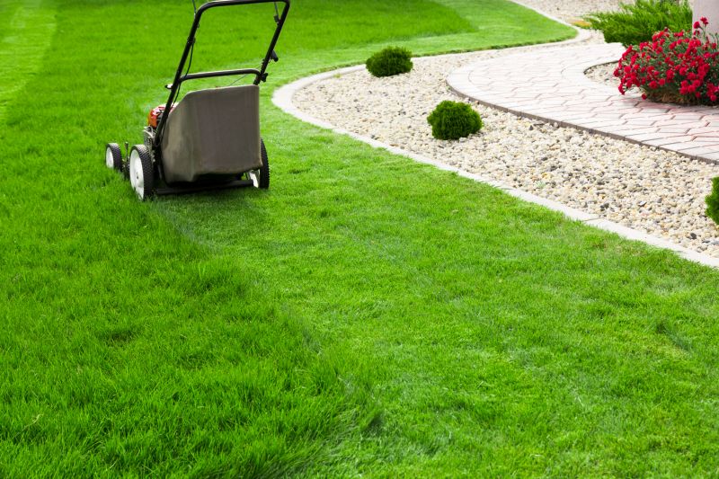 Healthy Lawn