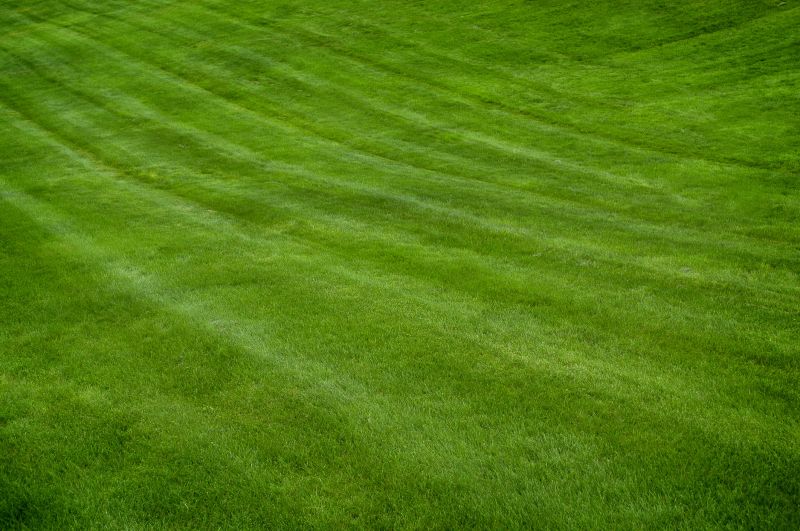 Lawn Maintenance Results