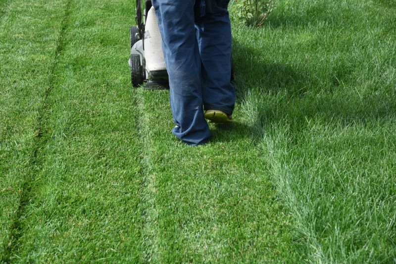 Commercial Lawn Services